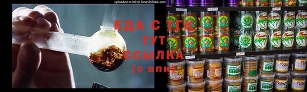 гашик Бородино