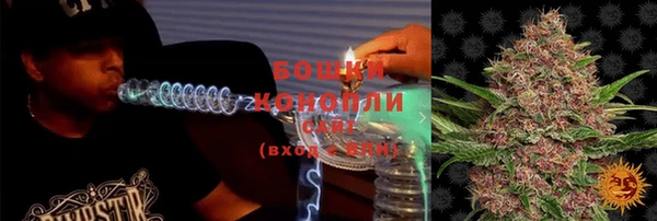 гашик Бородино