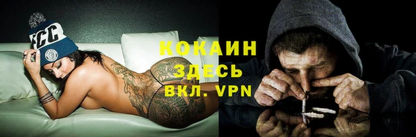 ALPHA PVP Ростов