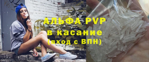 гашик Бородино