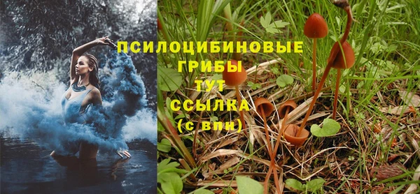 ПСИЛОЦИБИНОВЫЕ ГРИБЫ Бронницы