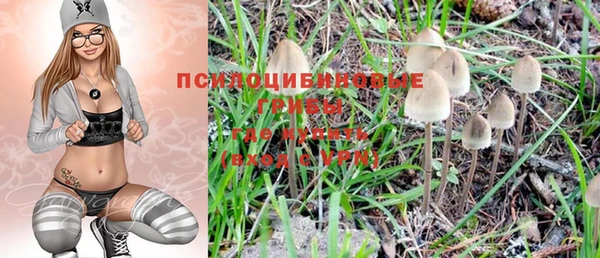 ПСИЛОЦИБИНОВЫЕ ГРИБЫ Бронницы