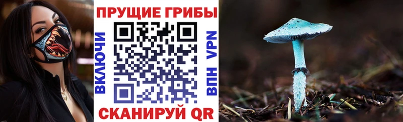 Псилоцибиновые грибы прущие грибы  omg зеркало  Петрозаводск 