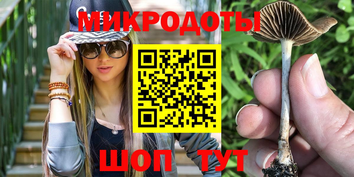 Псилоцибиновые грибы MAGIC MUSHROOMS  Псилоцибиновые грибы MAGIC MUSHROOMS  Вход с VPN  Петрозаводск 