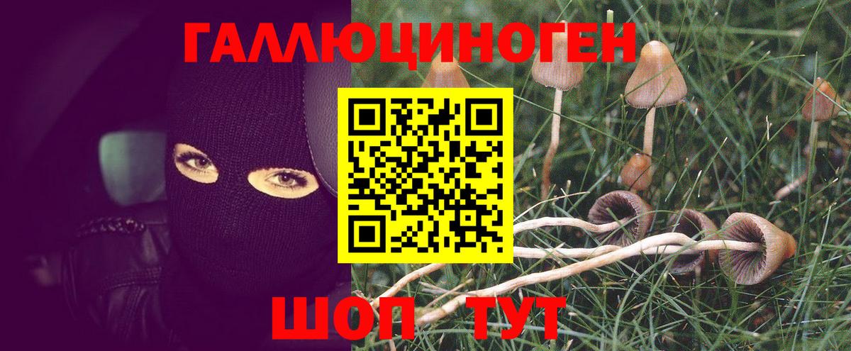 Петрозаводск  продажа наркотиков  Вход с VPN  Псилоцибиновые грибы Cubensis 