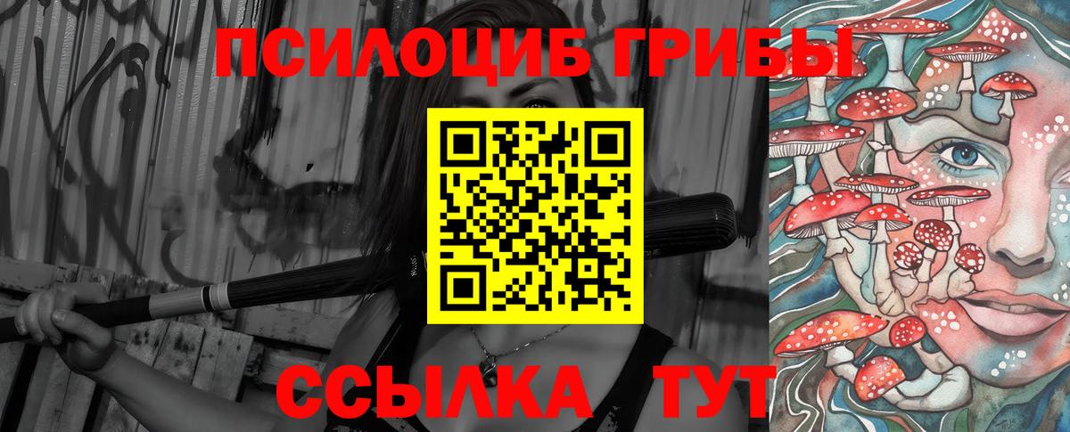 Псилоцибиновые грибы MAGIC MUSHROOMS Петрозаводск